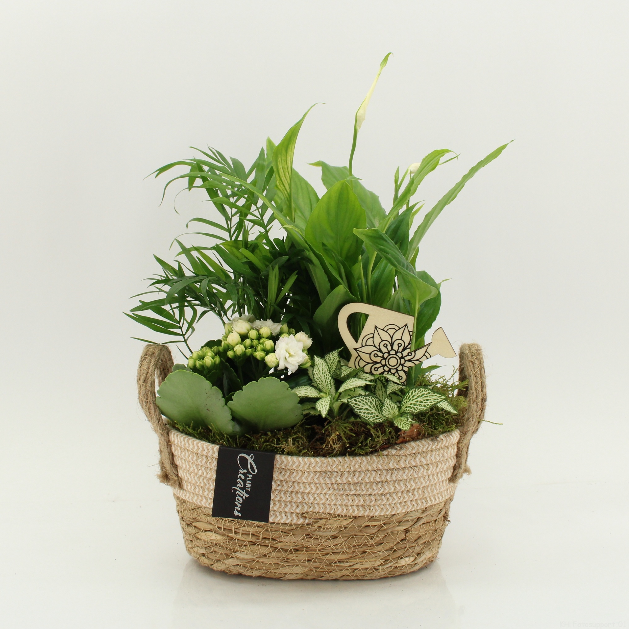 FDCR-2618W Basic Fundamentals, D 24