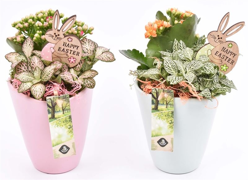 Keramiek pot kl. mix 11.5cm, D 11