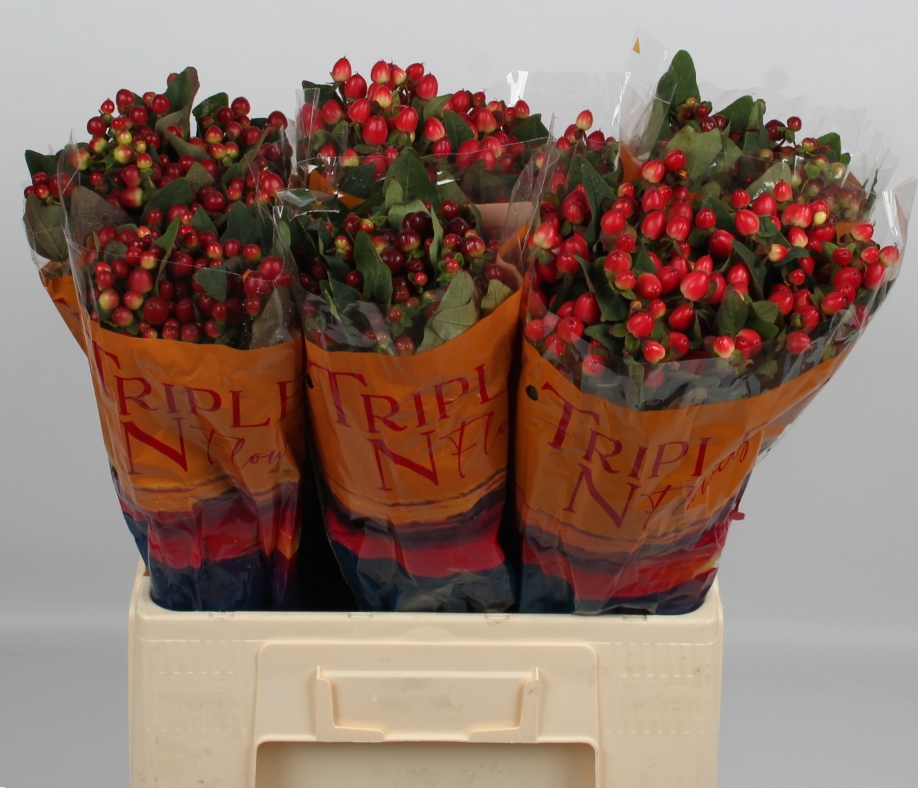 Гипперикум Мэджикал Микс 60, шт.