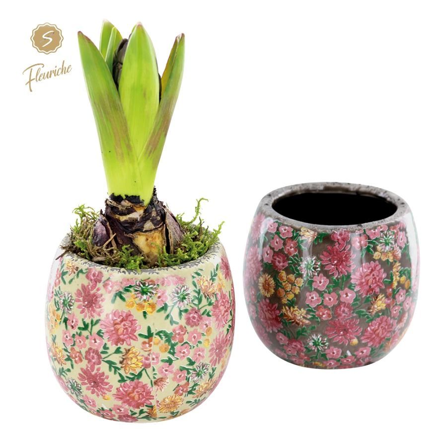 (1603) Hyacint Late Fashion [M] 1PP Mos, D 11