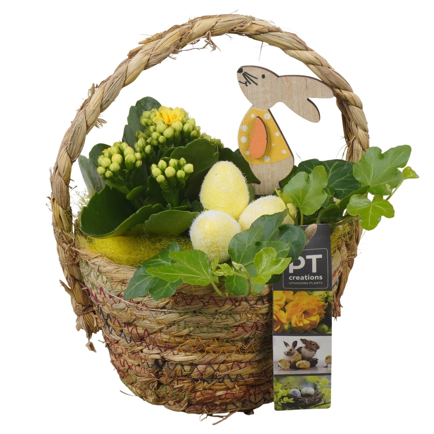 PTPB6538 Arrangement Easter in rieten mand, D 15
