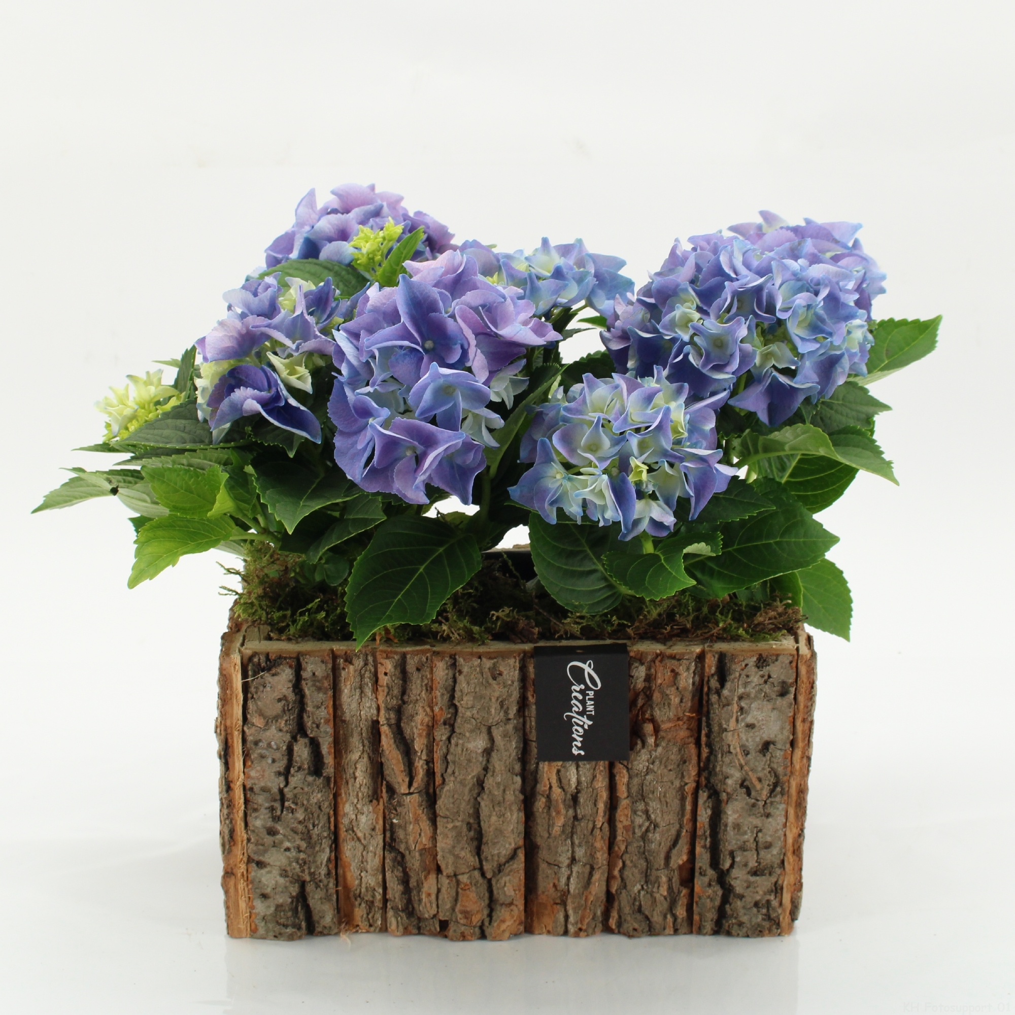 KHCR-2606B Hydrangea creations, D 26