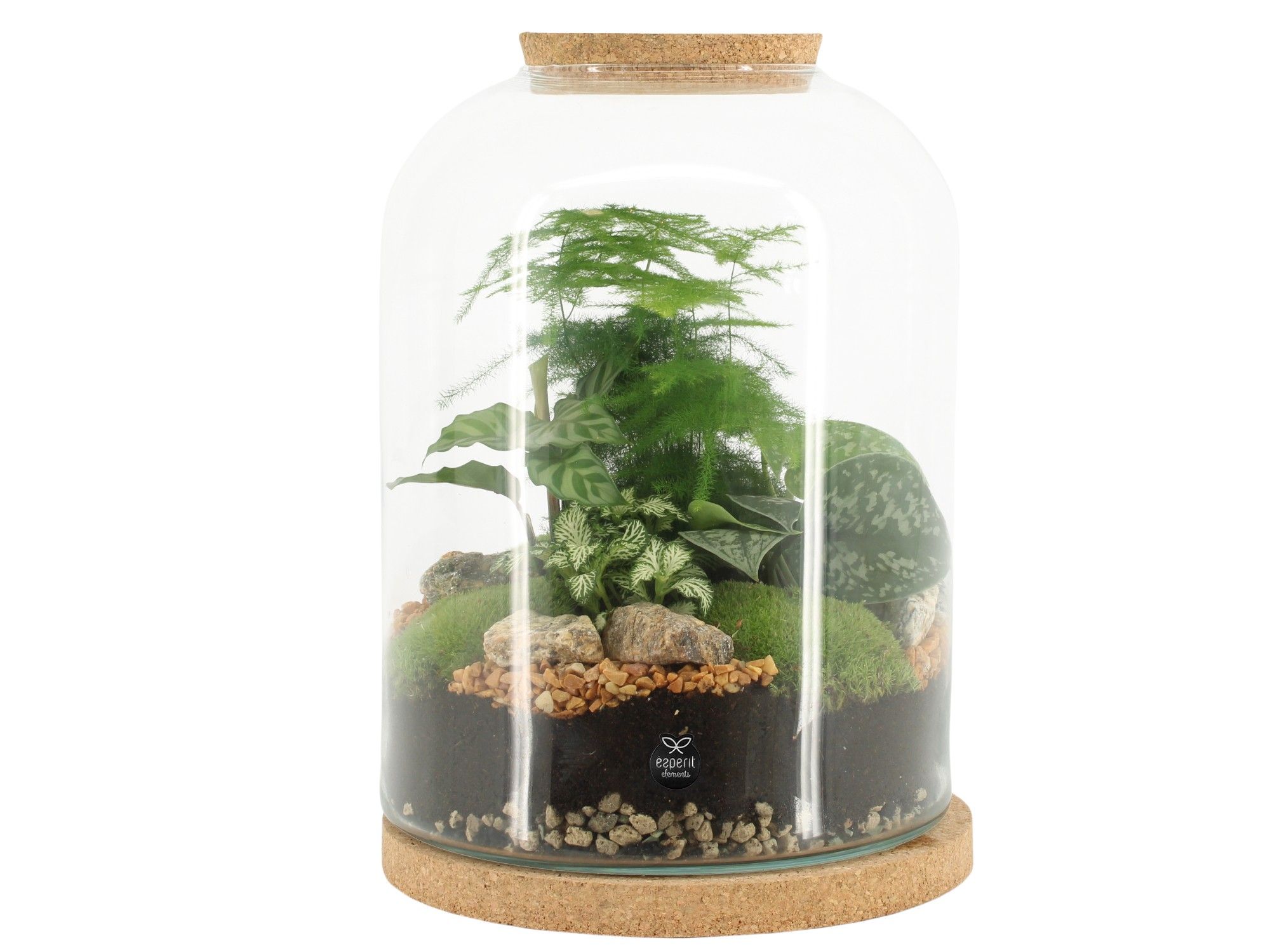 90552: Terrarium arrangement, D 24