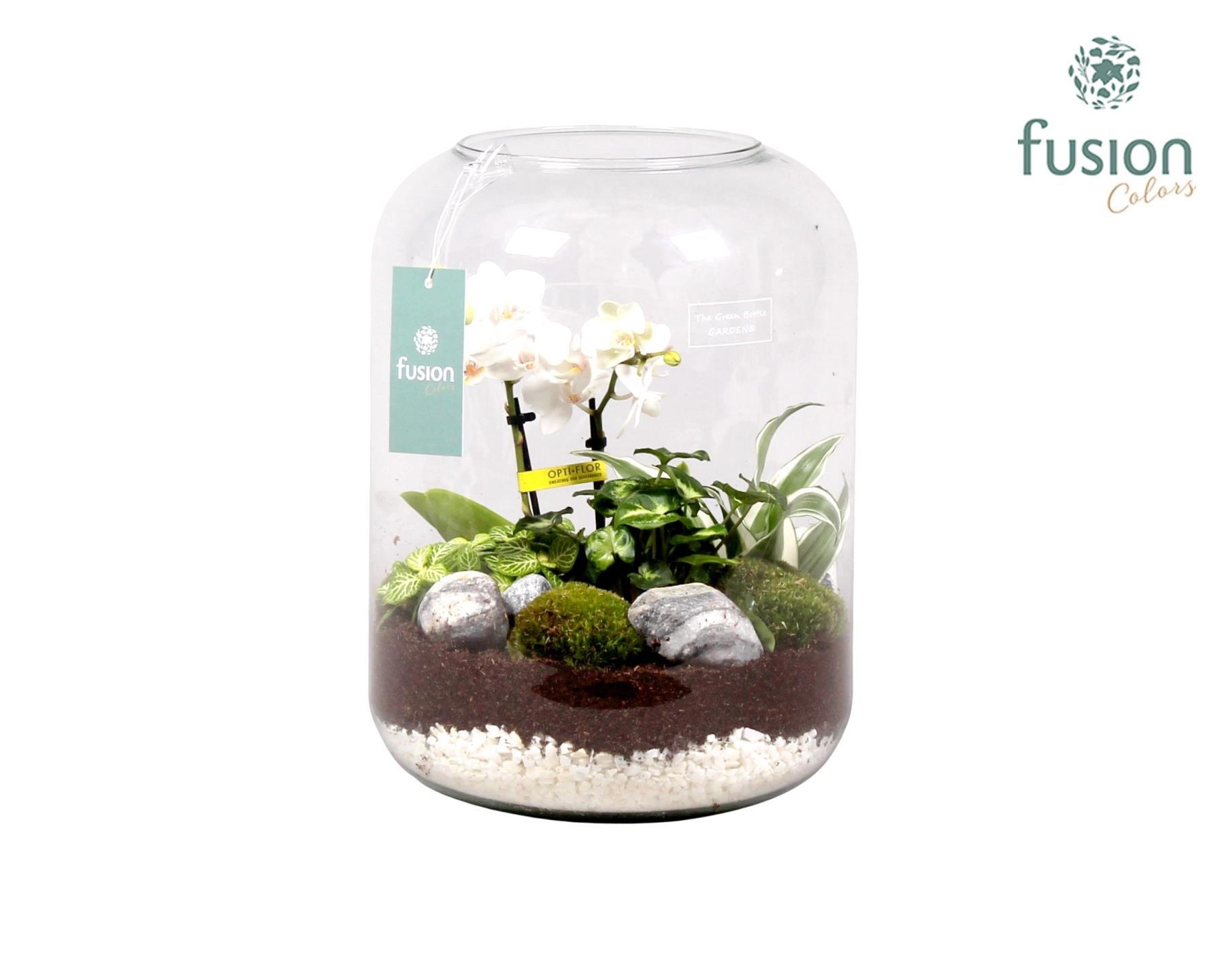 Green Bottle xlarge met white arrangement, D 23