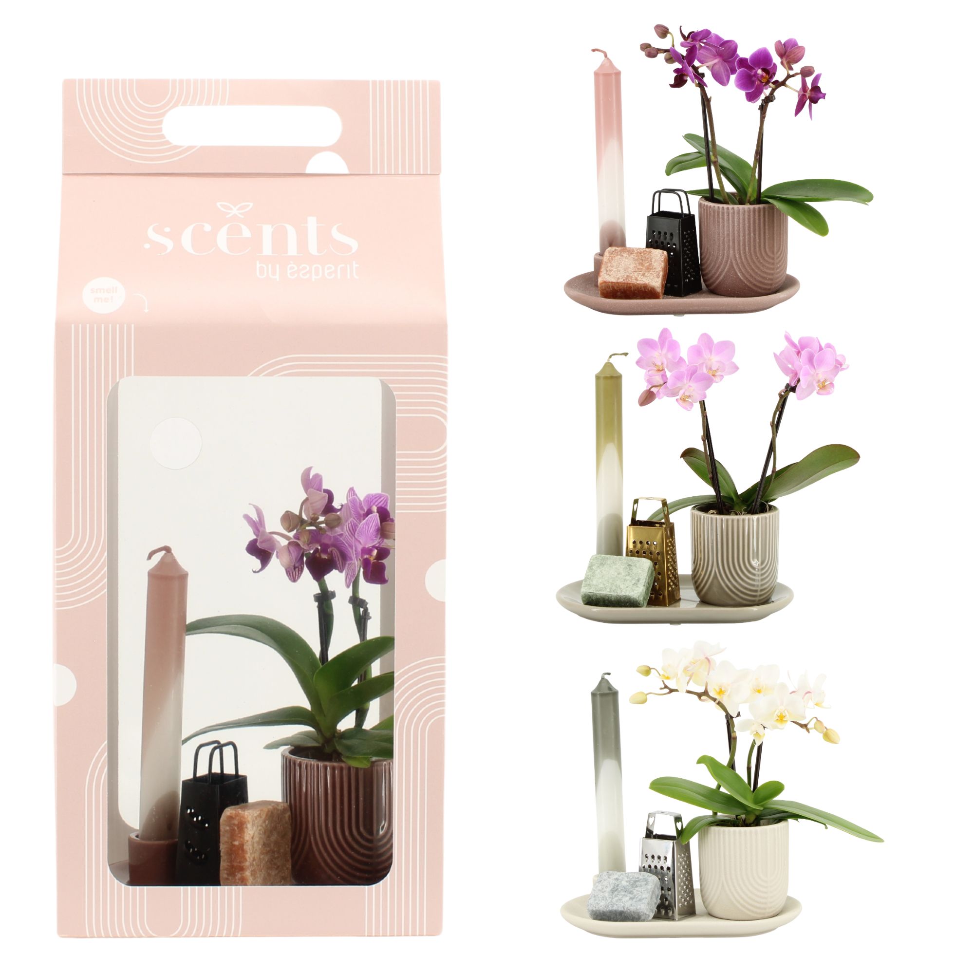 90623: Scents arrangement, D 18