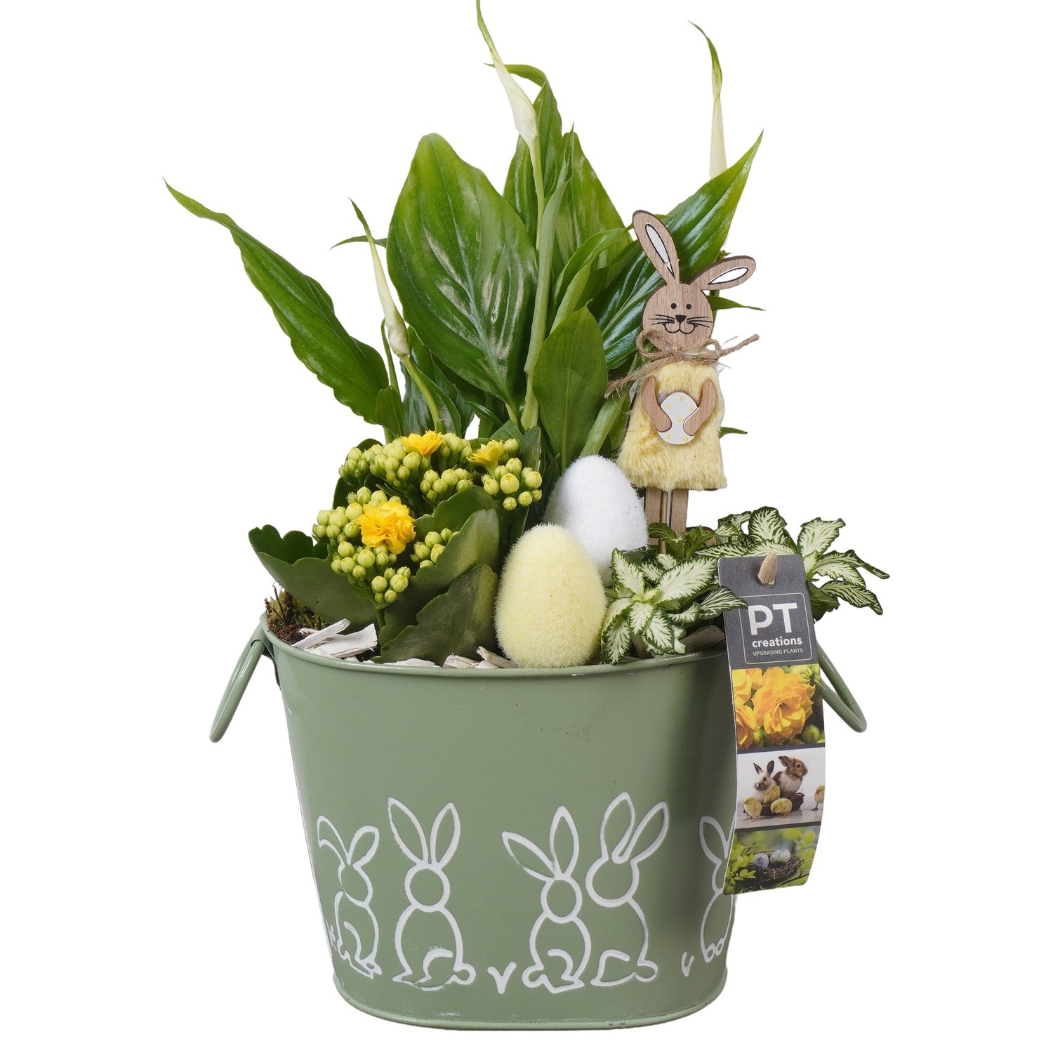 PTPB6461 Arrangement Easter in zink pot, D 17