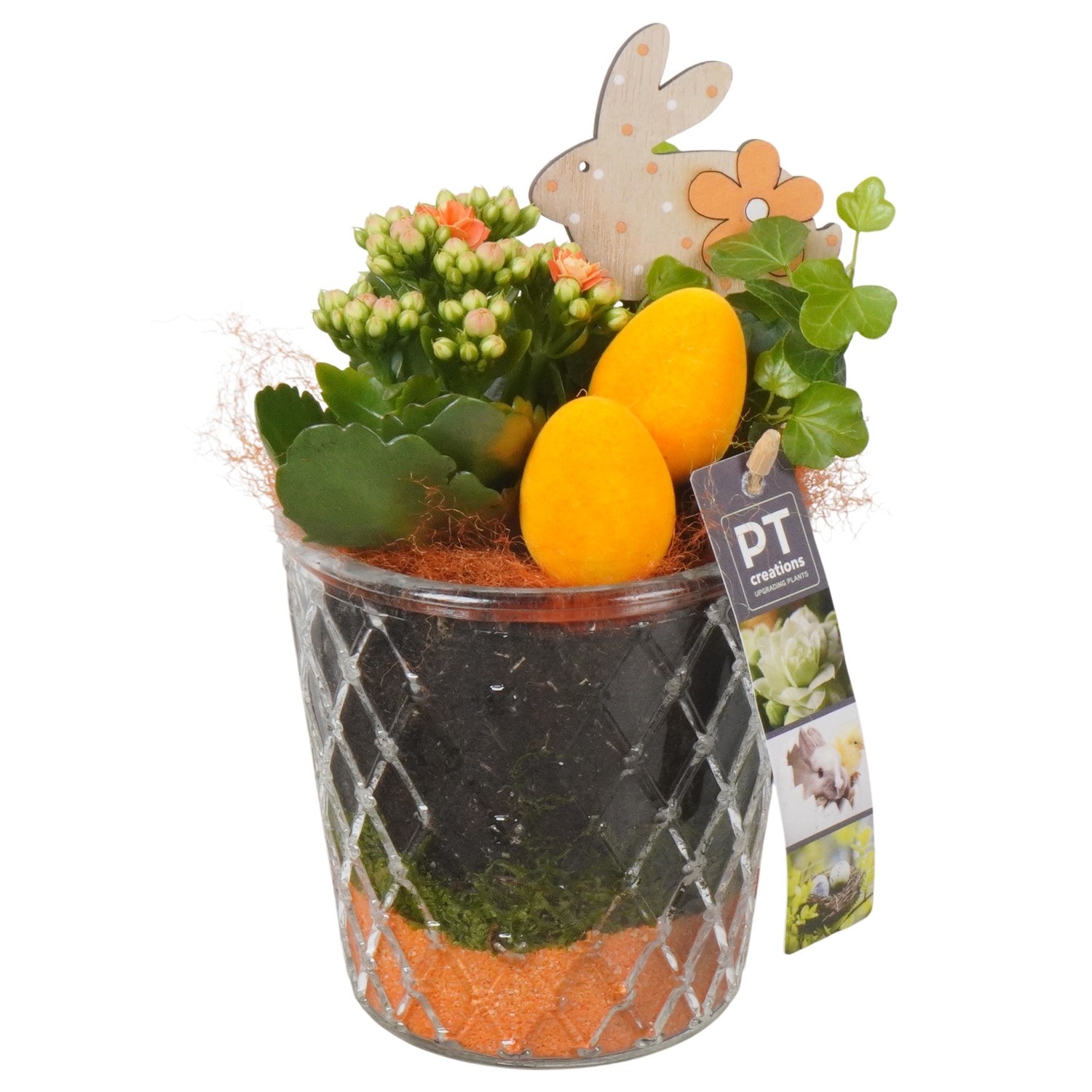 PTPG9387 Arrangement Easter in glas vaas, D 12