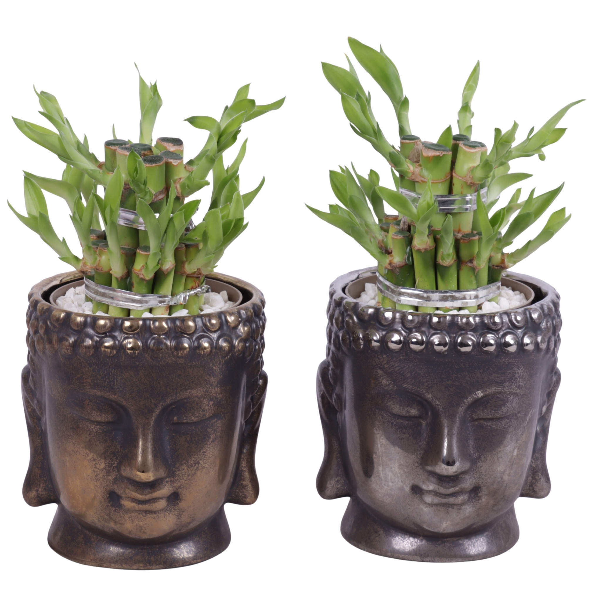 Lucky Bamboo Shape Round 2S in Ceramic Buddha Gold/Silver Ø12cm, D 12