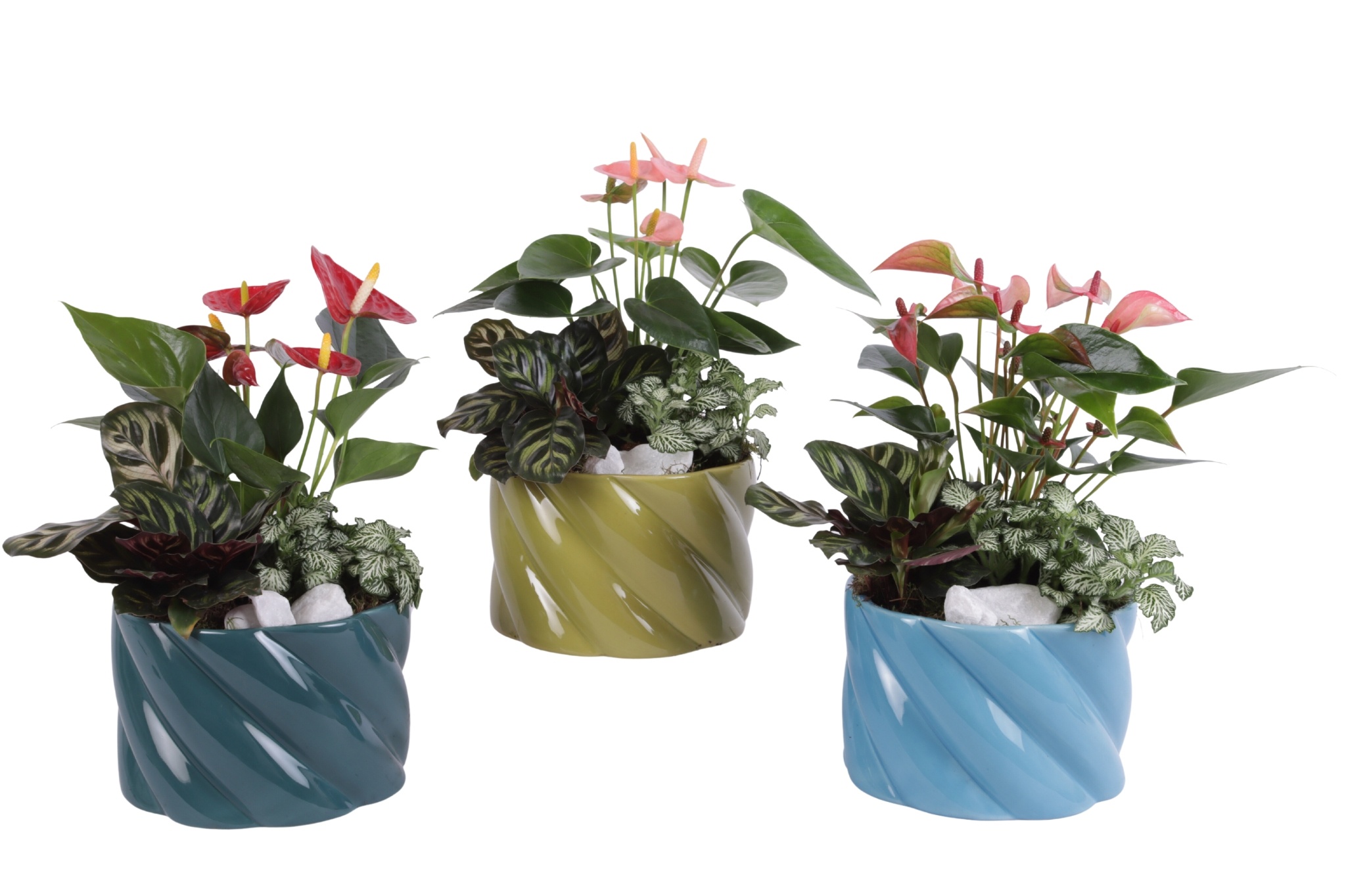 Yearround Arr. Indoor Ceramic Fresh Breeze FB674 Ø17cm 3PP, D 17