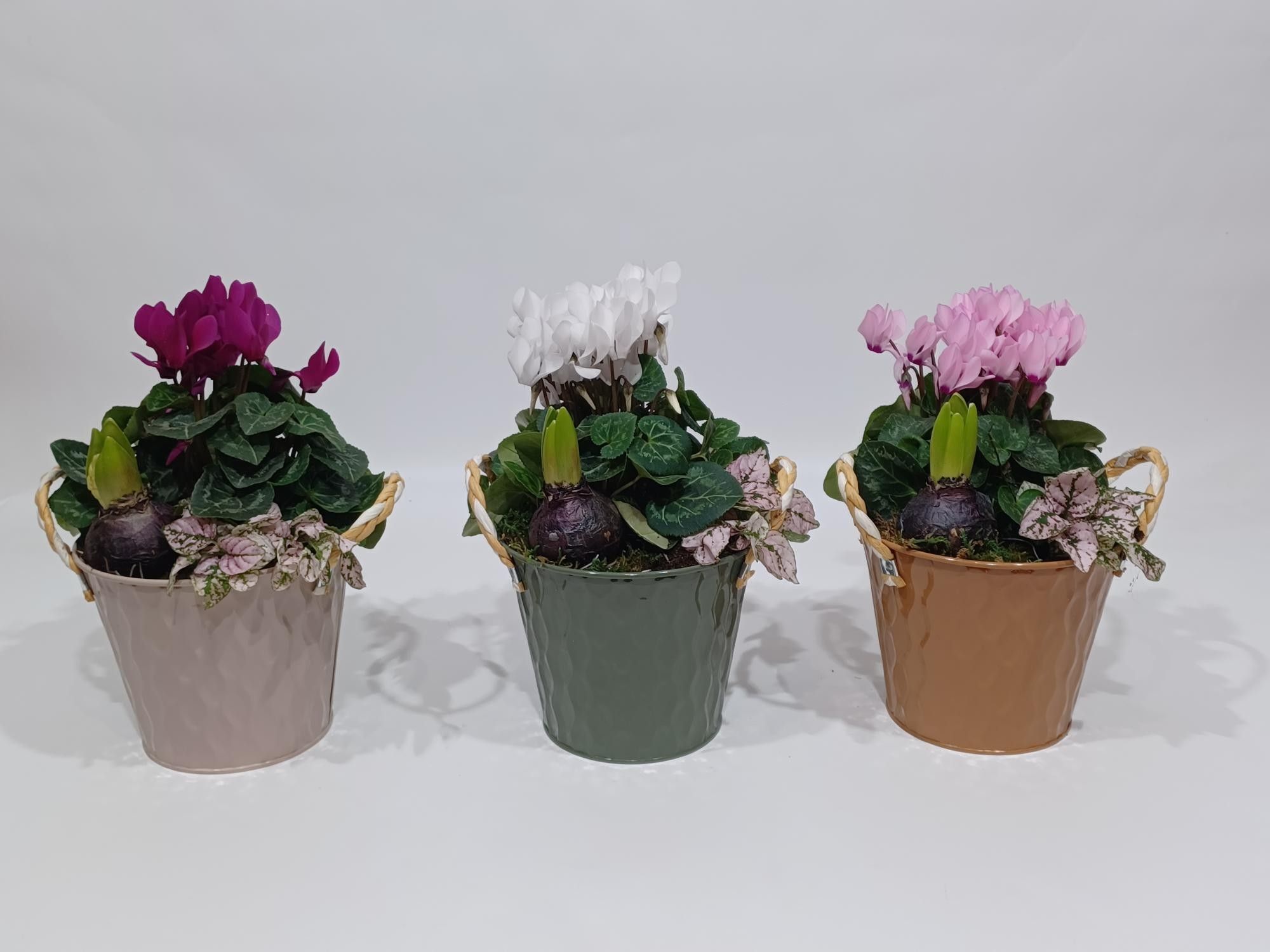 Collectie "Autumn" Arrangement in zinken pot Nora, D 13