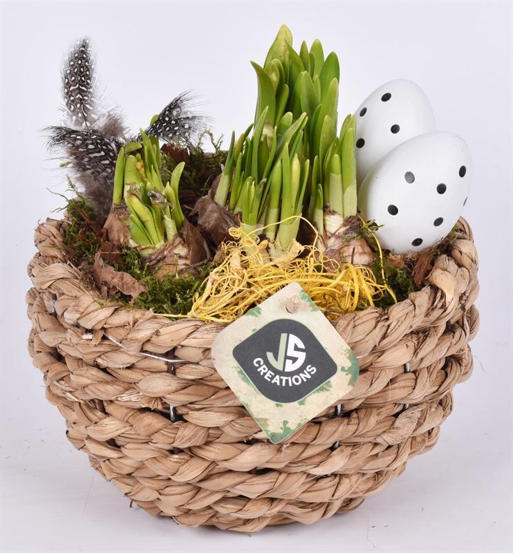 Mais mand 18cm, D 18