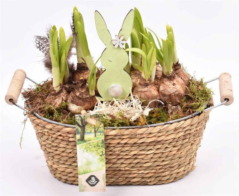 Touw met zink schaal ovaal 21x14cm, D 21