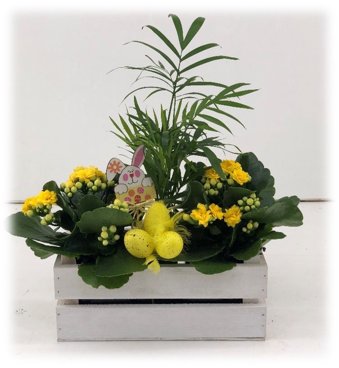 TDM PASEN 26 : P22 Houten plantenbak met diverse planten, D 22