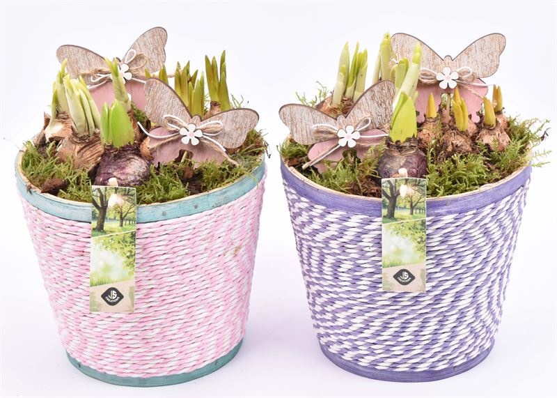 Hout pot paars/roze mix 18cm, D 18