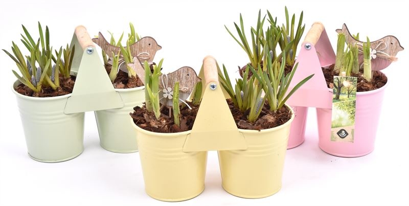 Zink duopot kl. mix 21x10cm, D 21