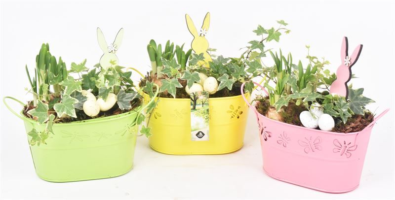 Zink ovaal vlinder 22x13, D 22