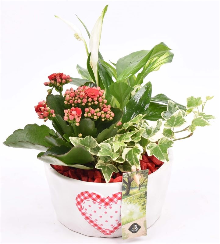 Keramiek schaal met hart 16cm, D 15