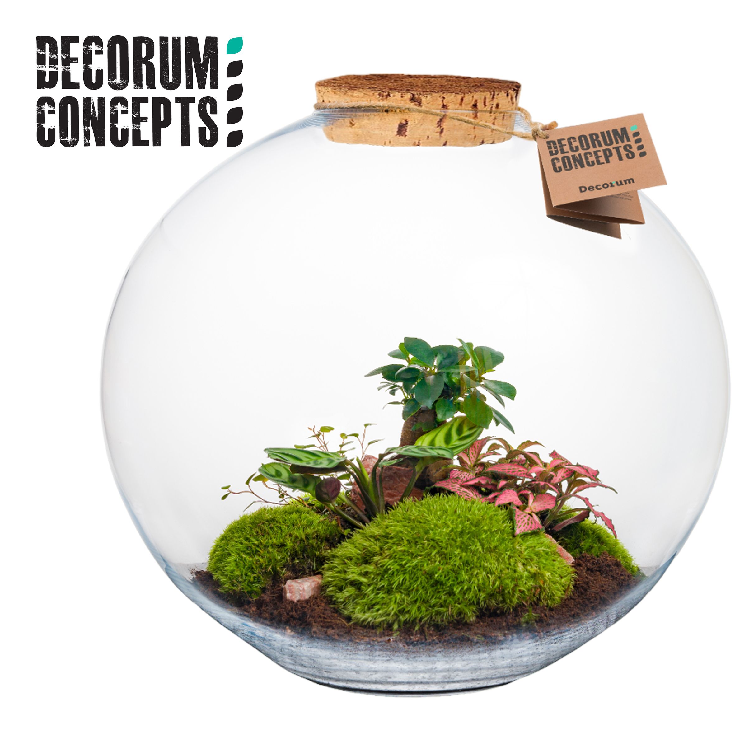 Terrarium Moon (Decorum concepts), D 40