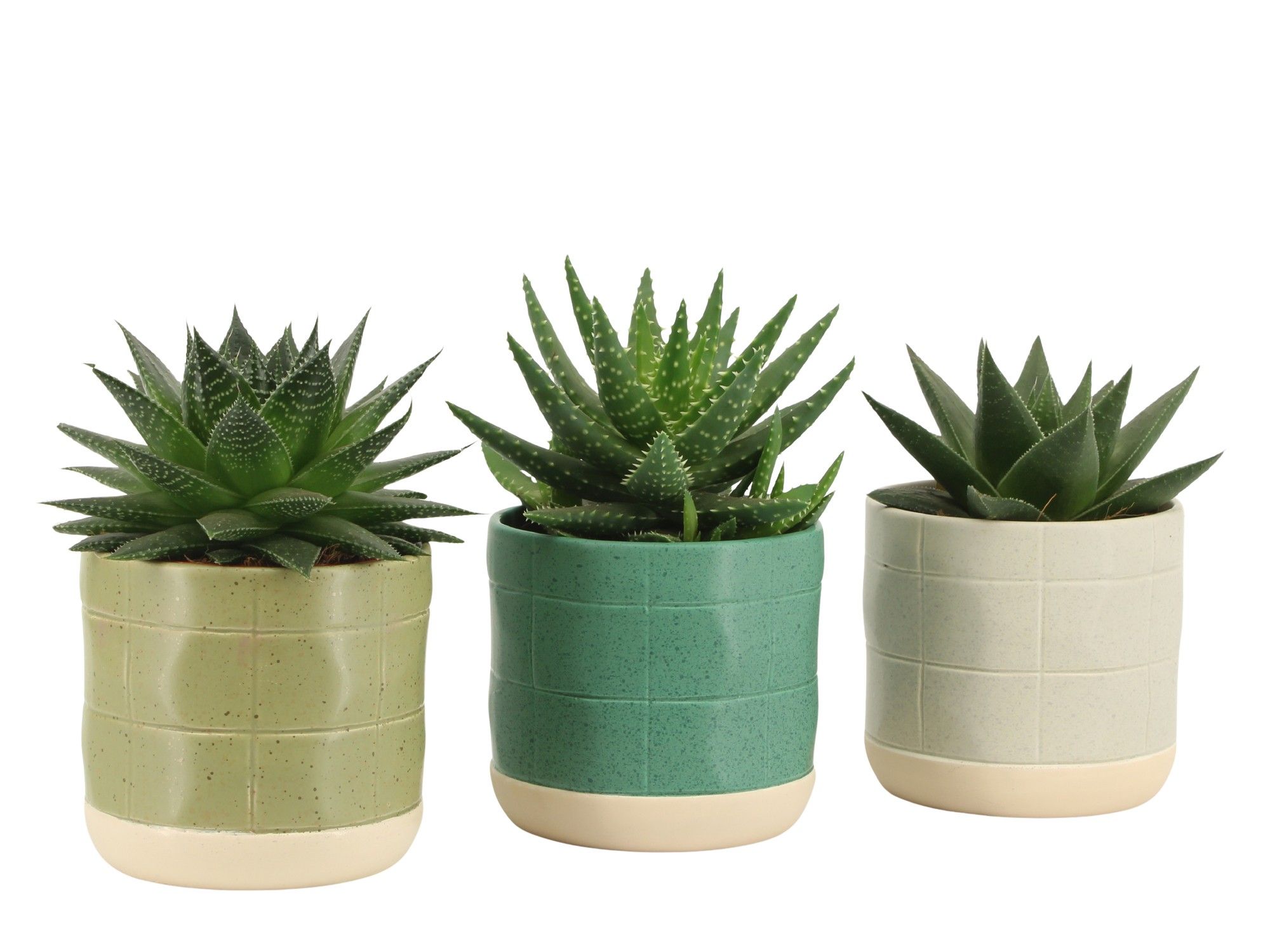 7501404: Solutionss Consideration, D 10,5