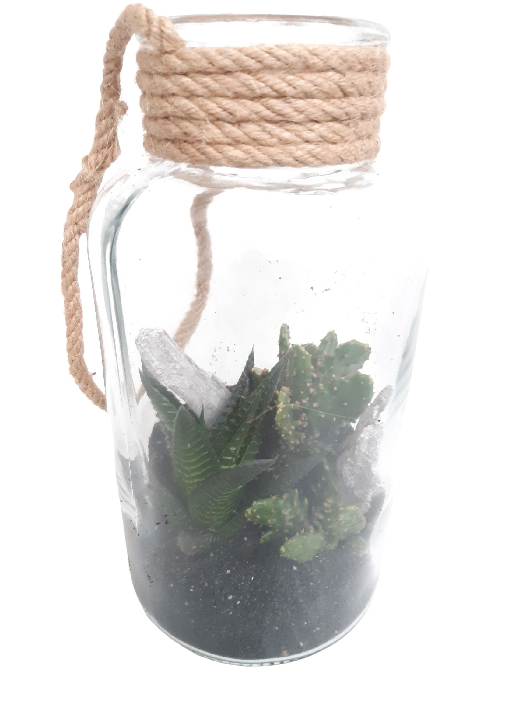 709 BS Fles10/20 Terrarium Succulentmix Black Sand Deco, D 10