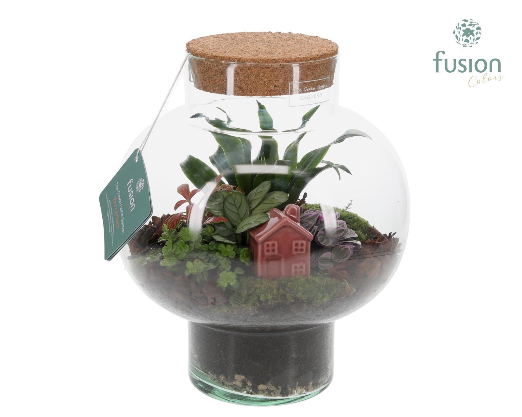 Green Bottle Laura Medium met Terrarium Arrangement, D 26