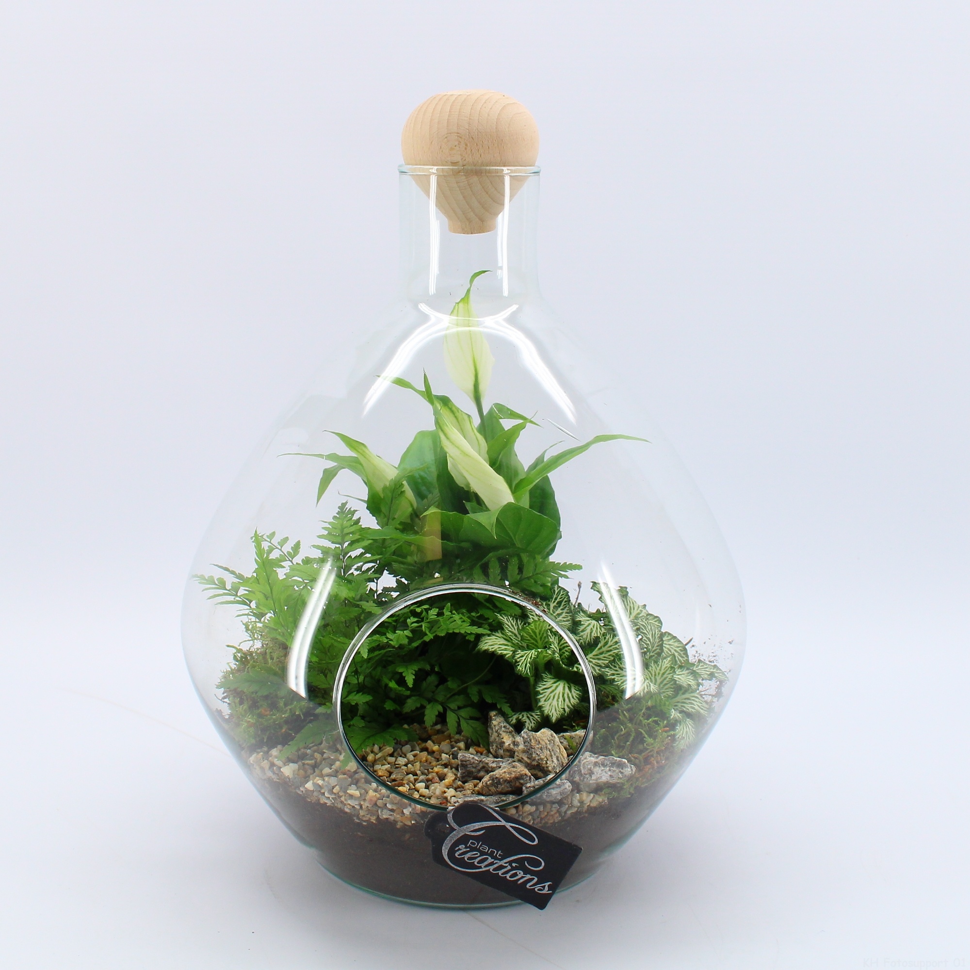 GRCR-2610 Green Essentials terrarium, D 26