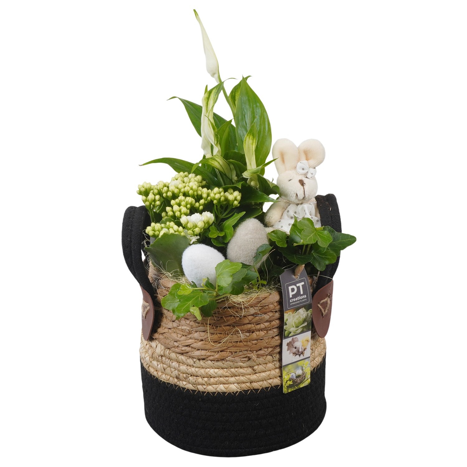 PTPB6556 Arrangement Easter in rieten mand, D 15