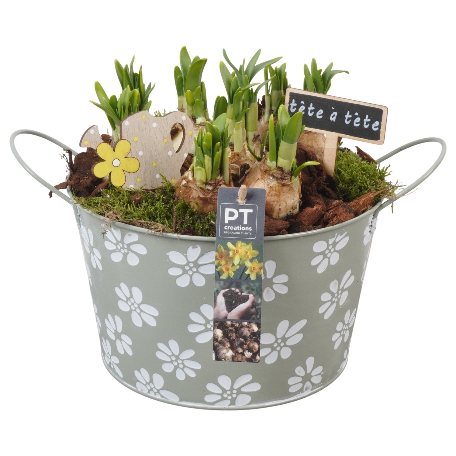 PTN8574 Arrangement Narcissus in zink pot, D 22