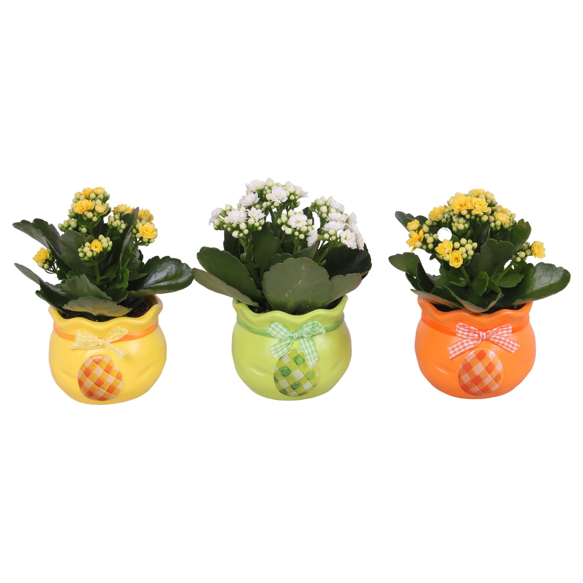 Easter Arr. Indoor Ceramic Colorful Egg Bag Mix Ø10cm 1PP, D 10