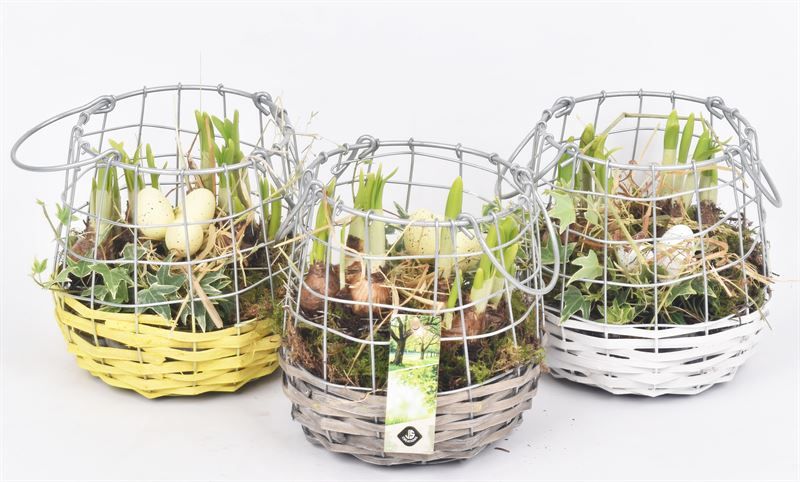 Willow metaal korf mix kl17cm, D 15