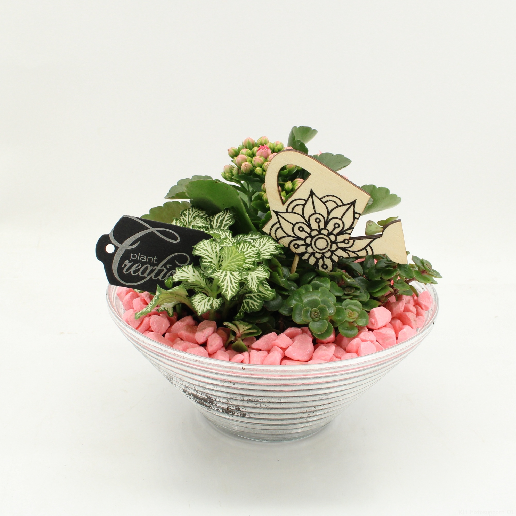 FDCR-2601RZ Basic Fundamentals, D 20