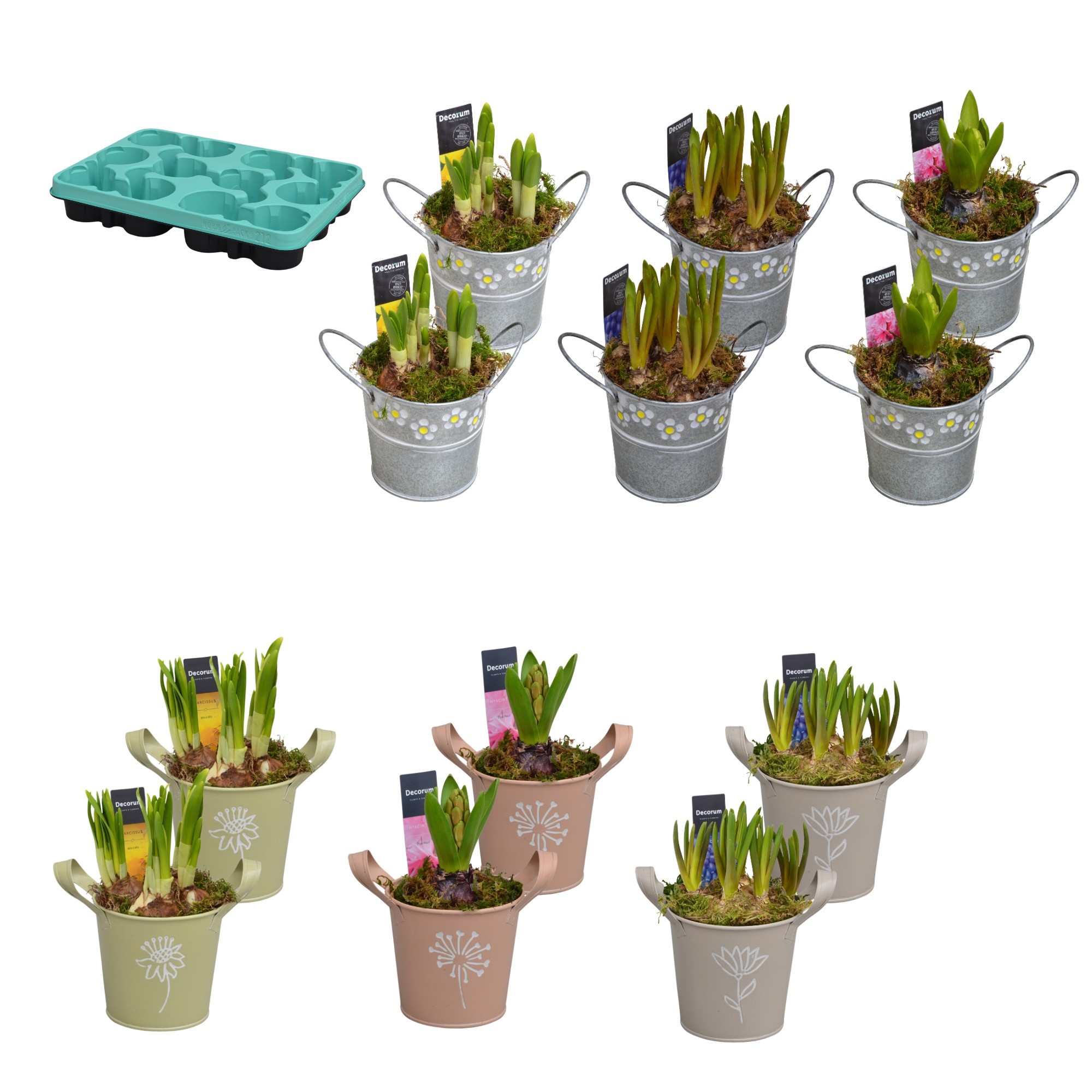 MIX DOOS LENTE B, D 10