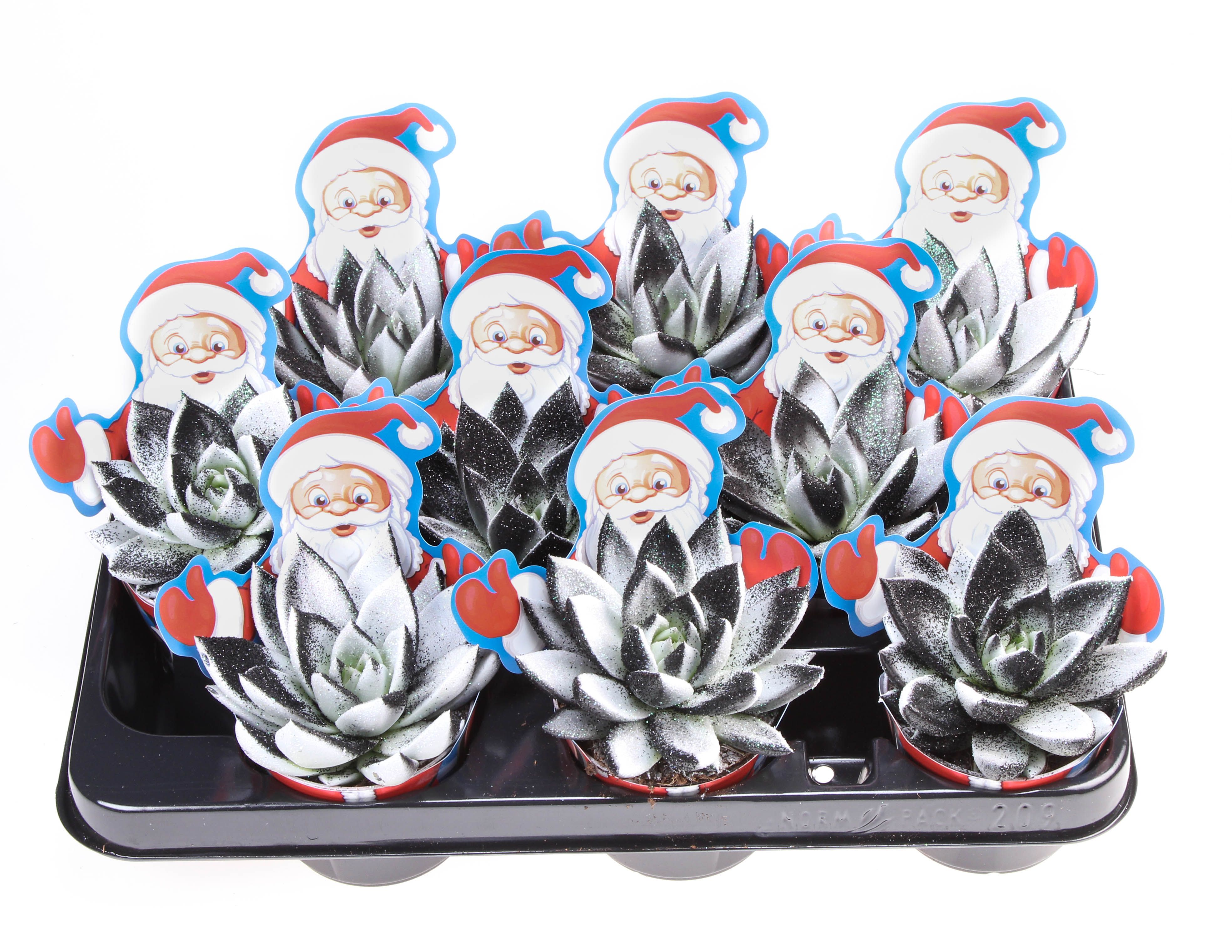 Potcover santaclaus miranda Black&white + bio glitter, D 8,5