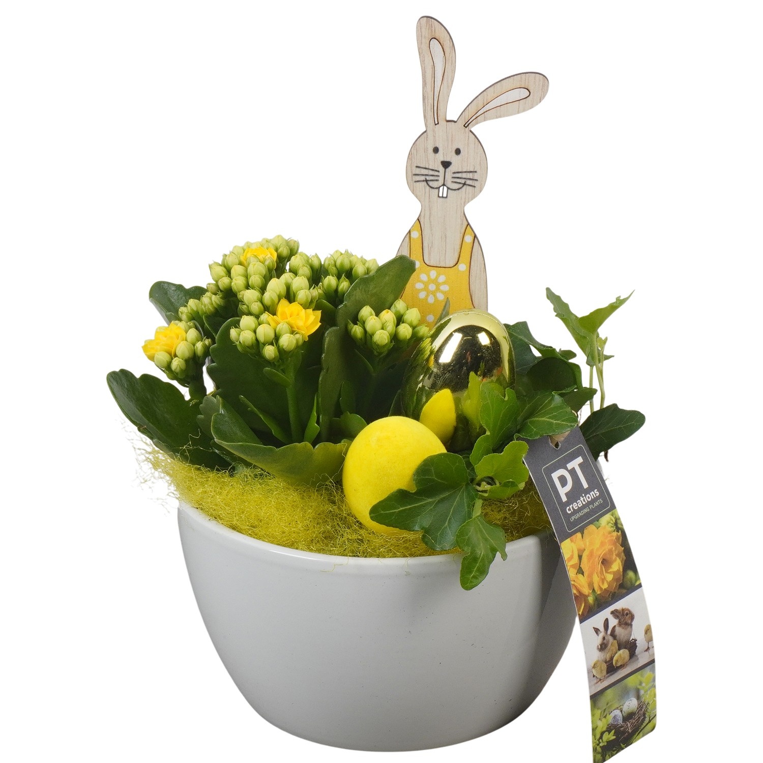 PTPB6532 Arrangement Easter in keramiek schaal, D 14