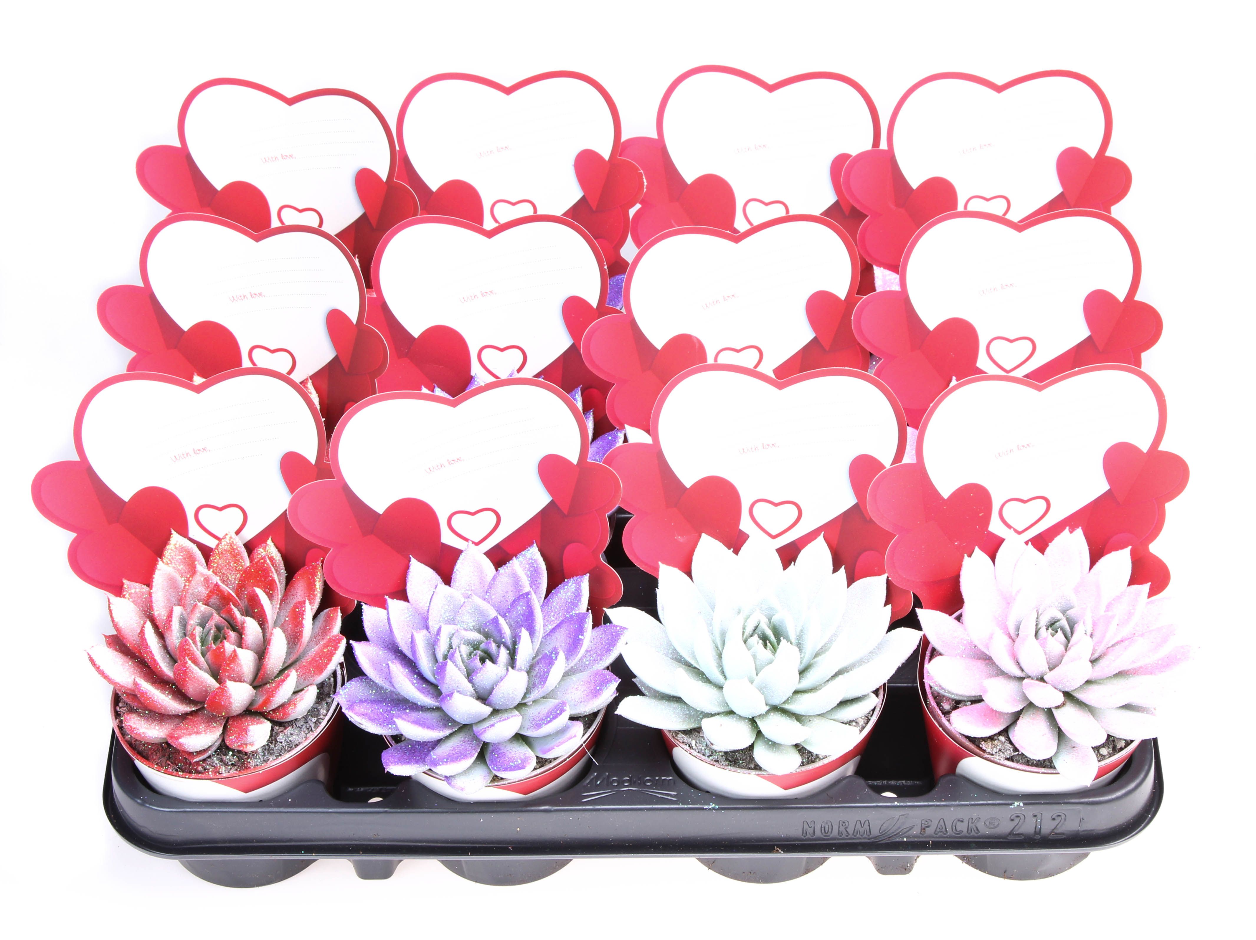 Potcover little love Valentine Glitter, D 8,5