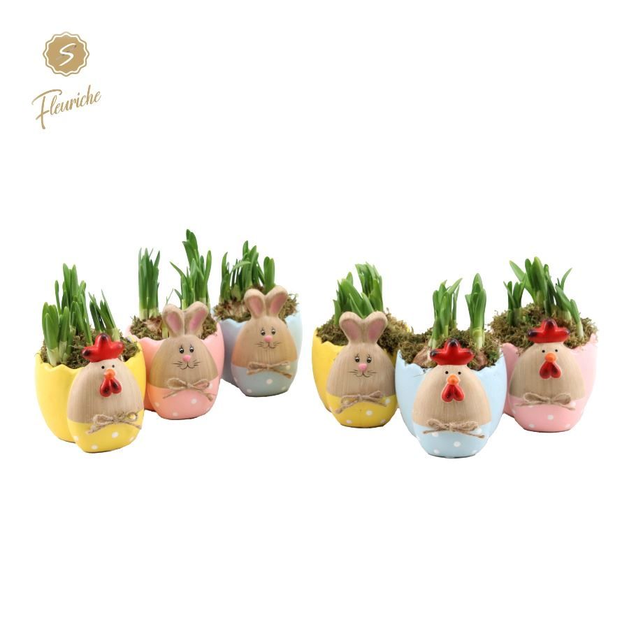 (3504) Narcissus Easter Bunny & Chicken (L) Mos, D 13