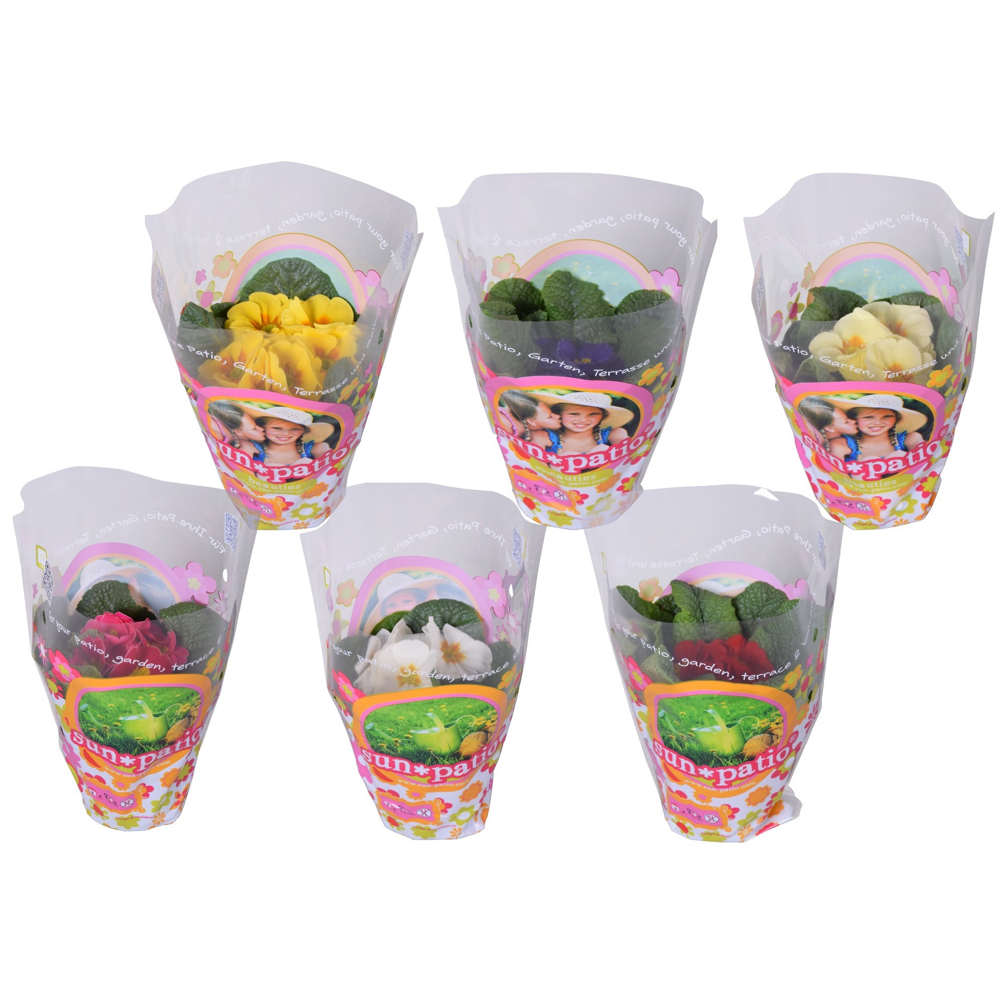 Primula Acaulis mix Sunpatio hoes, D 10,5