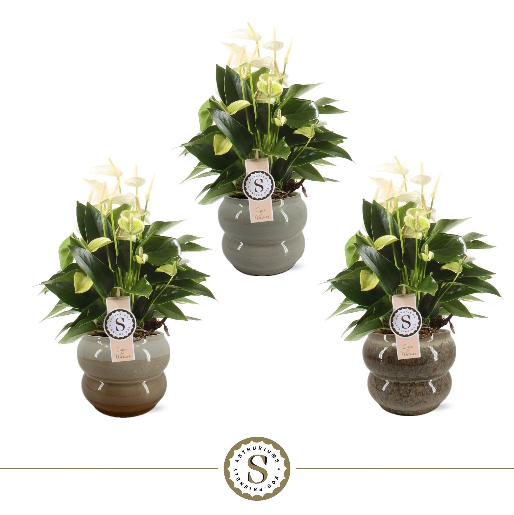 Bocelli Keramiek White 14cm, D 14