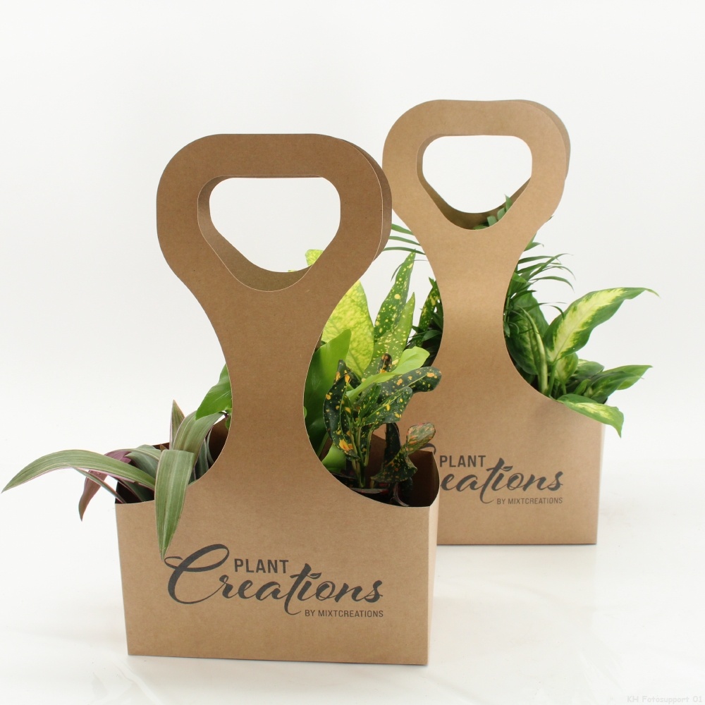 Tas 3 Ecotas met 3 planten, D 9