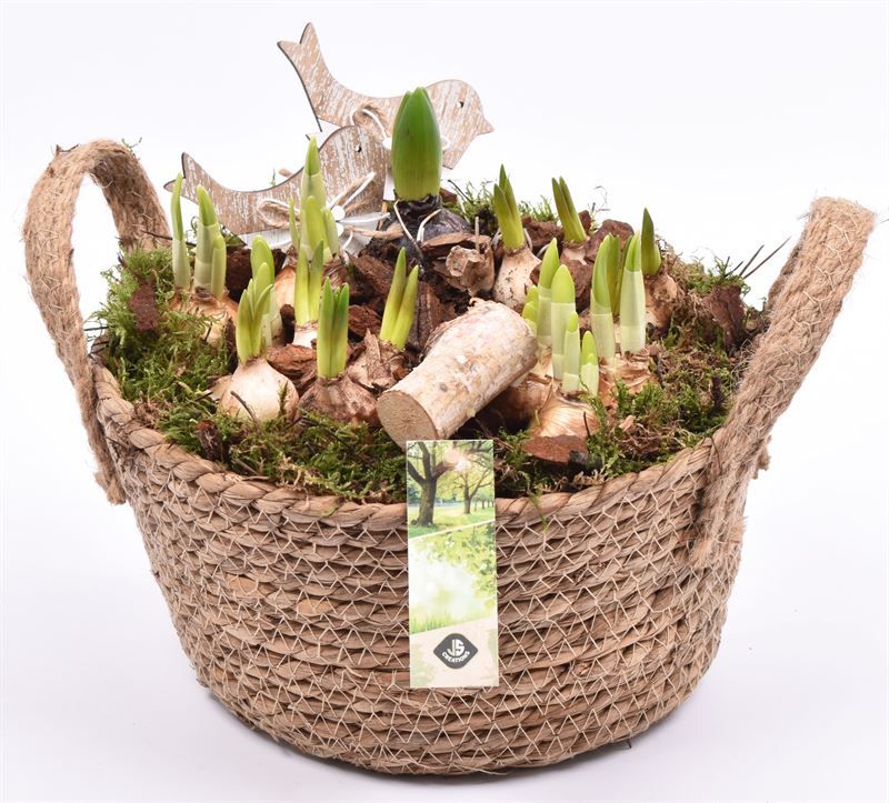 Touwmand schaal met oor 25cm, D 25