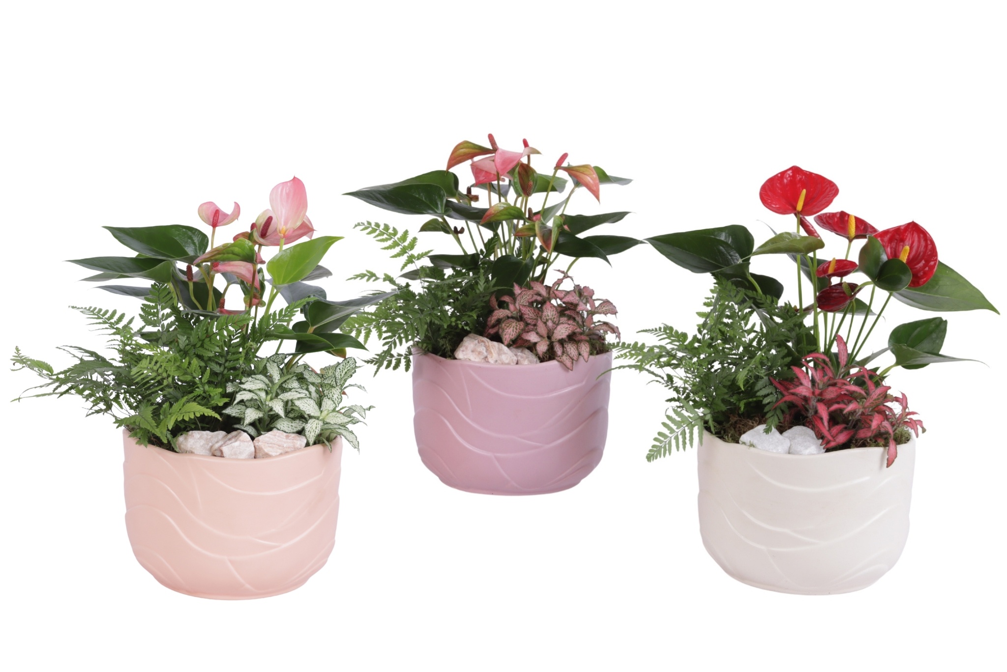 Yearround Arr. Indoor Ceramic Soft Elegance SE660 Ø20cm 3PP, D 20