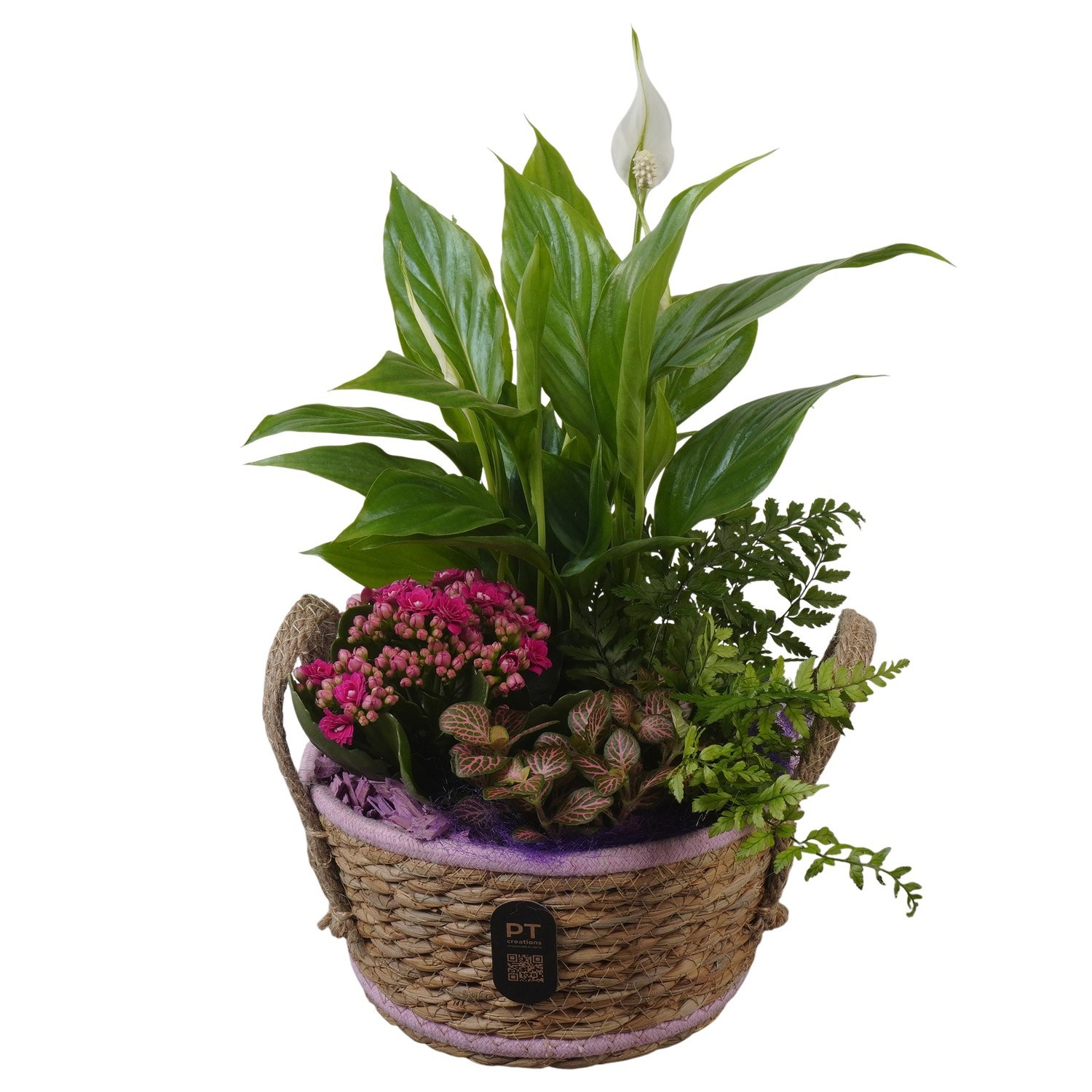 PTIB5246 Arrangement Indoor in rieten mand, D 18