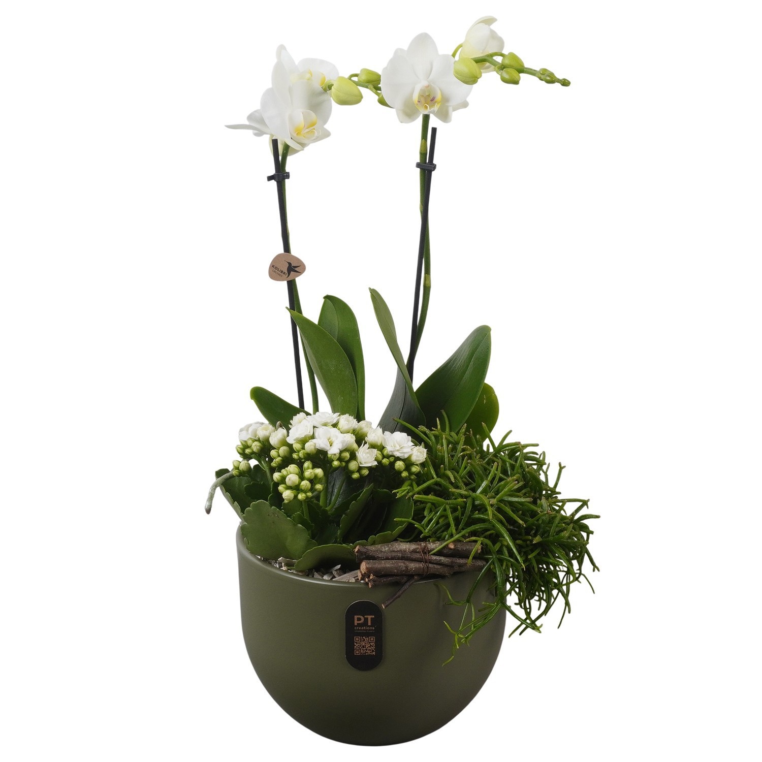 PTIB5147 Arrangement Indoor in keramiek pot, D 19