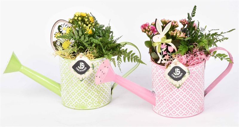 Zink gieter groen/roze 12cm, D 12