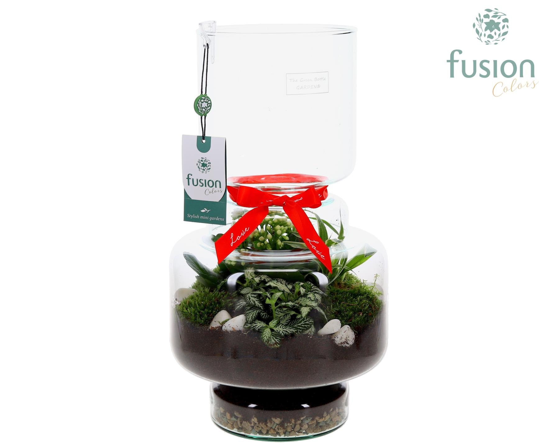 Green Bottle Lotte Large met Love arrangement, D 22