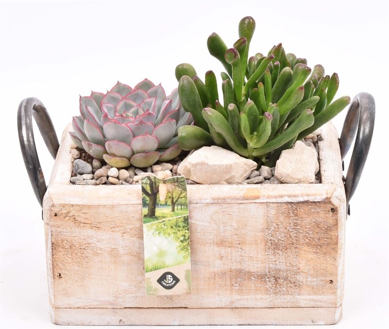 Hout rechthoek met handvat 20x13cm, D 20