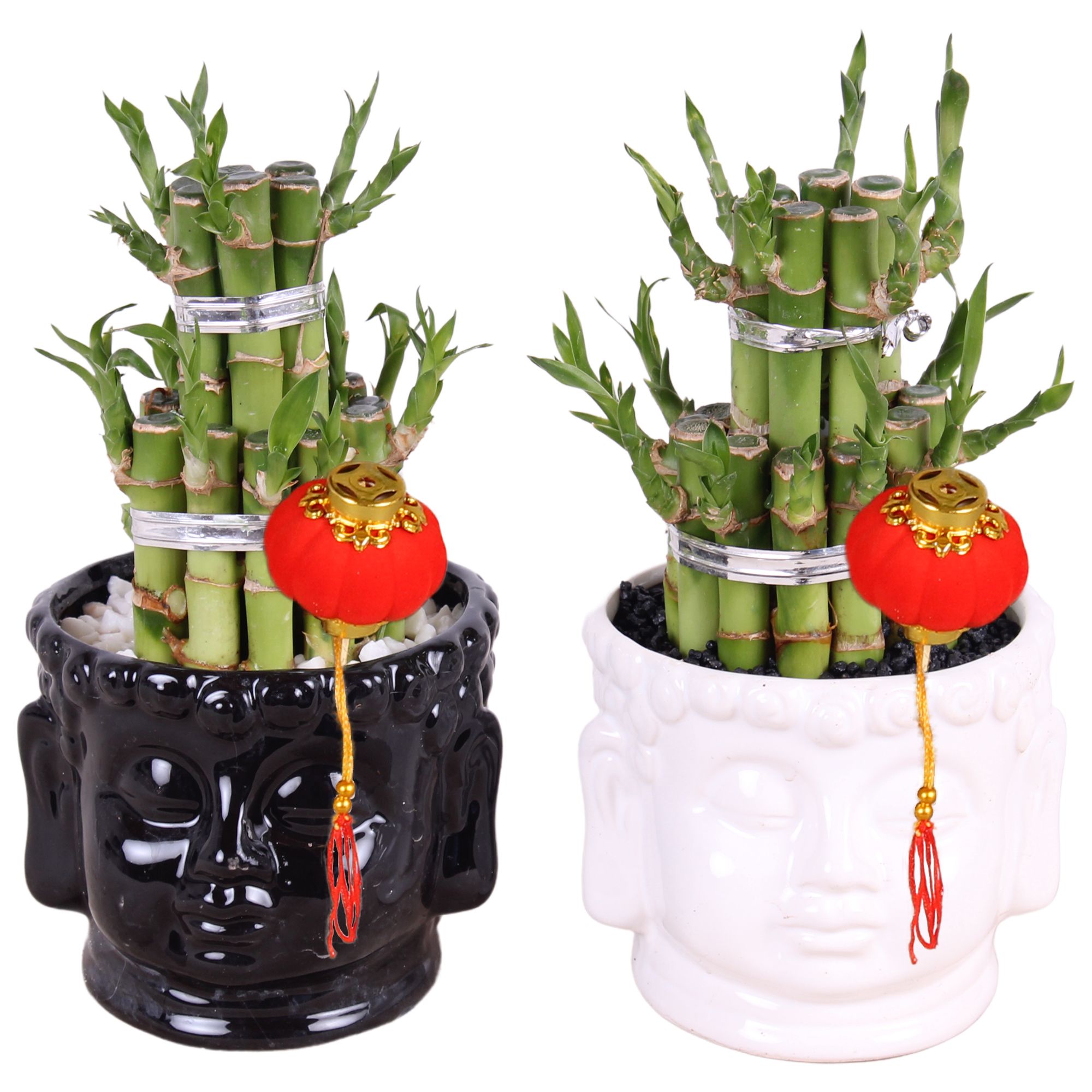 Lucky Bamboo Round 2Big in Buddha head Black/White Ø11cm, D 11