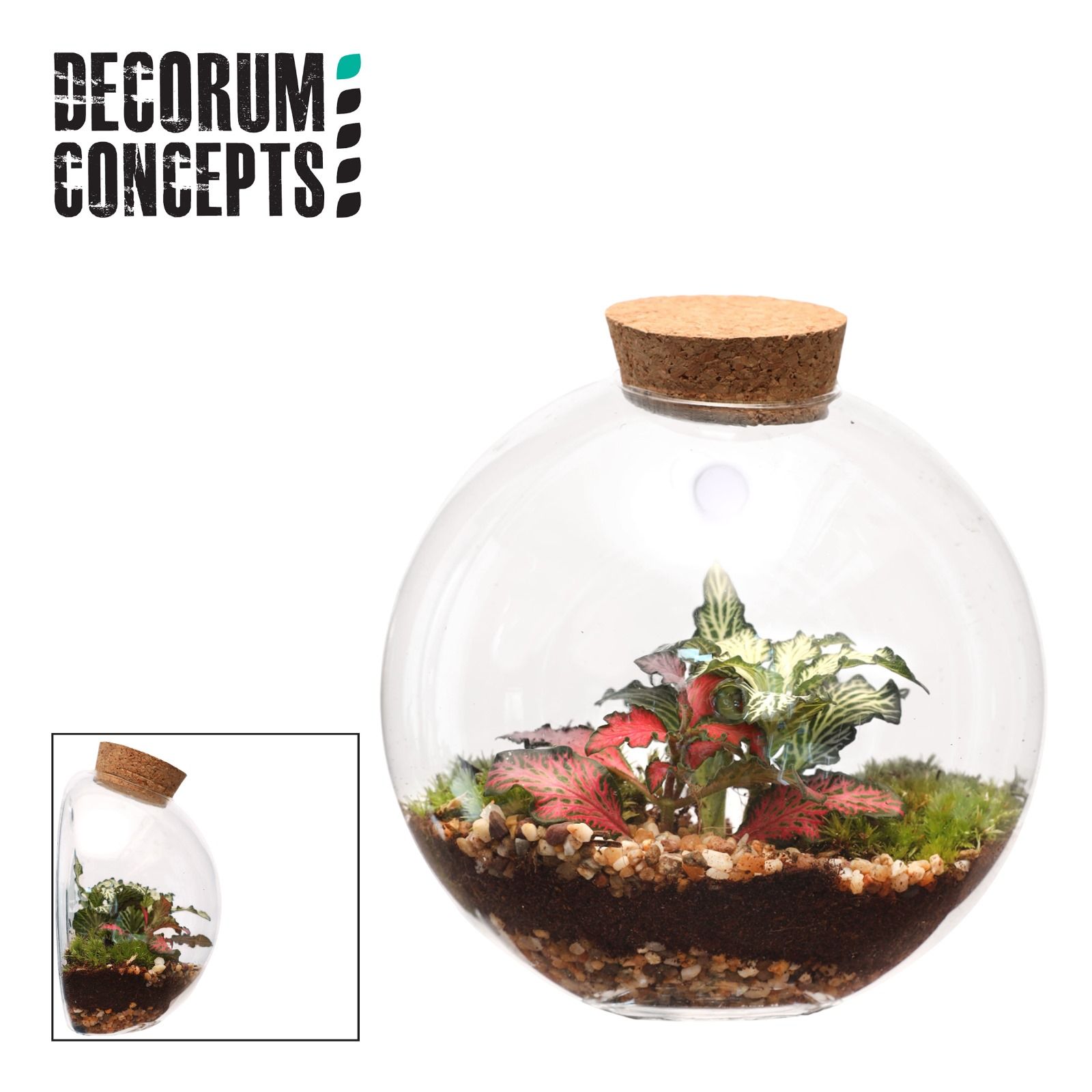 Terrarium Juno (Decorum concepts), D 12,5