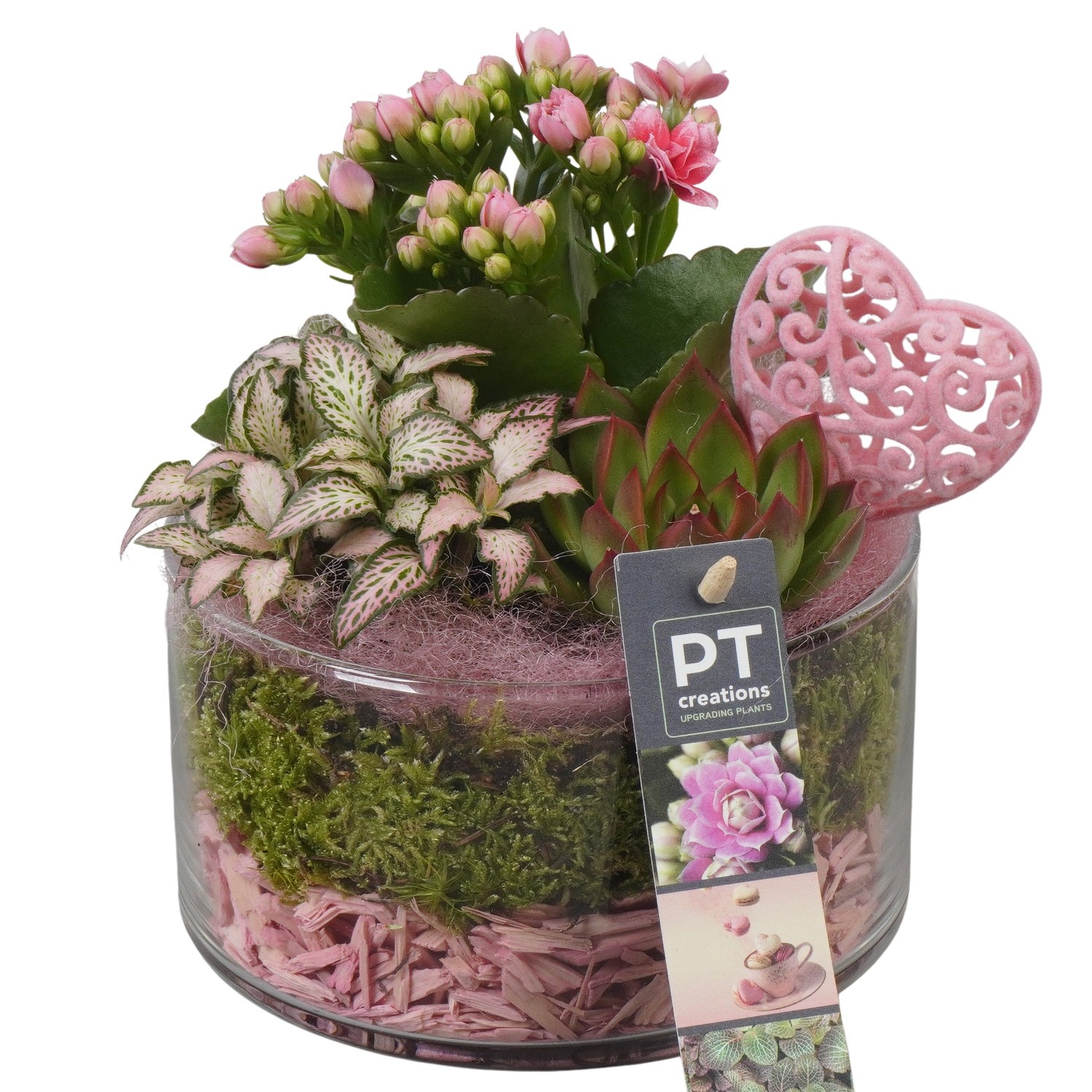 PTVMG4919 Arrangement Valentines-Mothersday in glas schaal, D 14