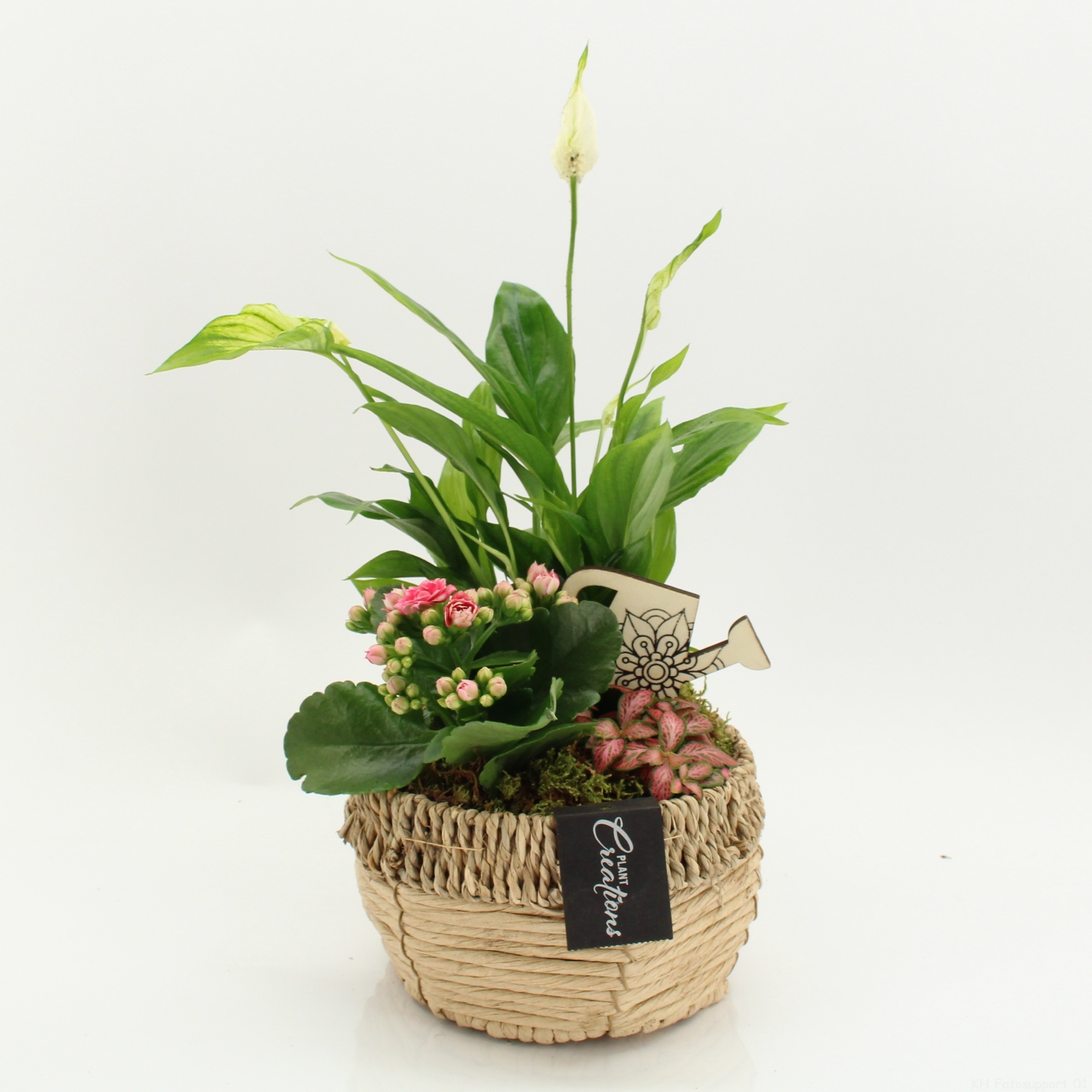 ESCR-2612RZ Essentials, D 18